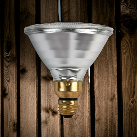 Feit electricIndoor/Outdoor PAR38 Flood Medium Base 90W Replacement Bulb, 2-pack