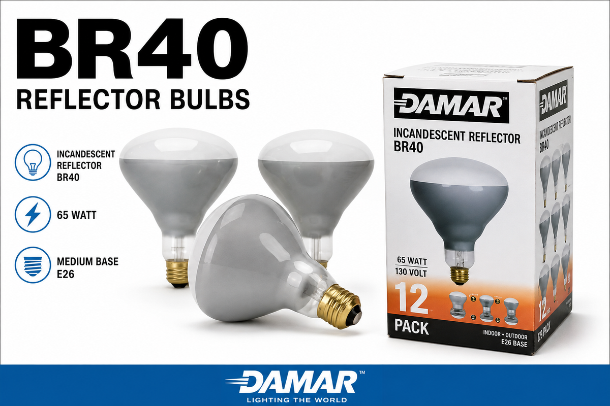 DAMAR BR40 65-WATT 130V - Pack of 12