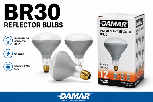DAMAR BR30 65-WATT 130V - 6-PACK